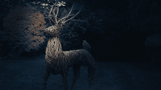 Nene Park Winter Festival - Featured Image - 1