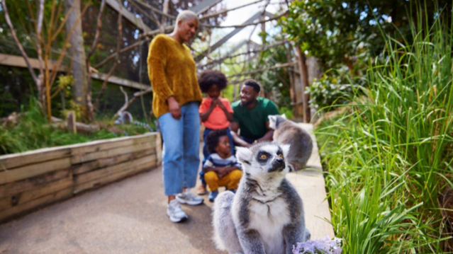 London Zoo - Featured Image - 3