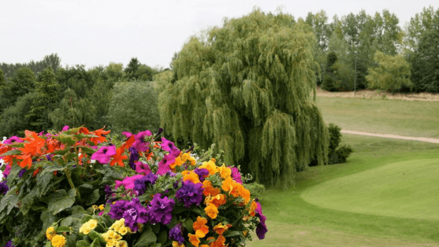 Upchurch River Valley Golf - Featured Image - 1