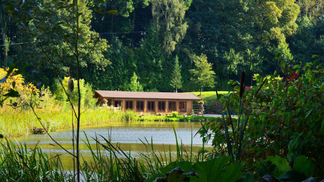 Bodenham Arboretum - Featured Image - 1