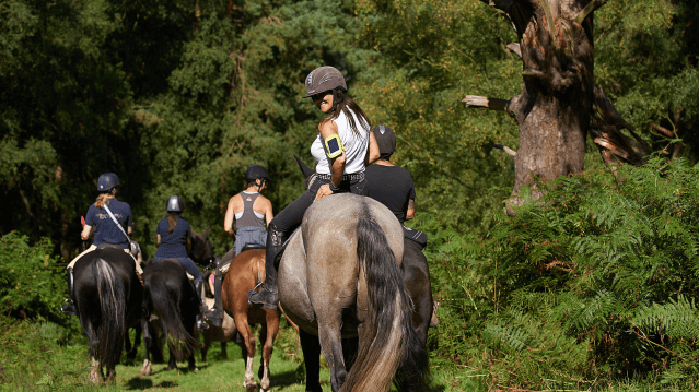 Cannock Chase Horse Trekking - Featured Image - 5