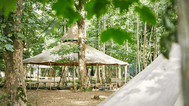 Camp Wilderness at Castle Howard - Featured Image - 5