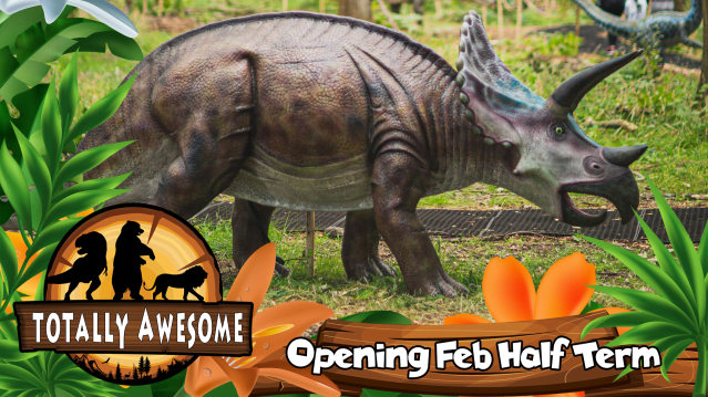 Totally Awesome - Featured Image - 9