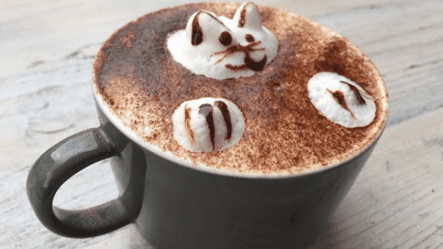 Pause Cat Cafe - Featured Image - 1