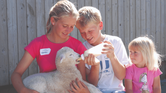 Pennywell Farm - Featured Image - 8