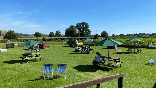 Farrington’s Farm Park and Playbarn - Featured Image - 8