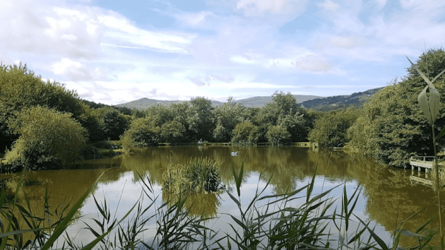Conwy Water Gardens - Featured Image - 3