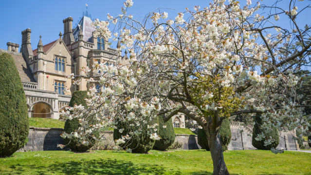 Tyntesfield - Featured Image - 3