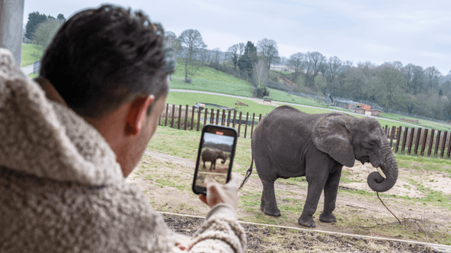 West Midlands Safari Park - Featured Image - 6