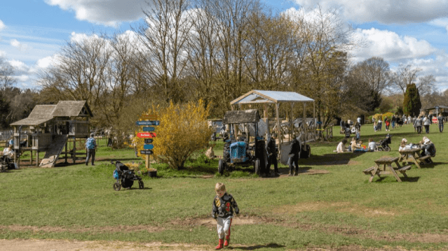 Cholderton Rare Breeds Farm - Featured Image - 1