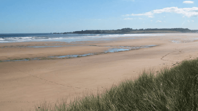 John Muir Country Park - Featured Image - 1