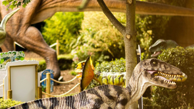 Skegness Aquarium - Featured Image - 5