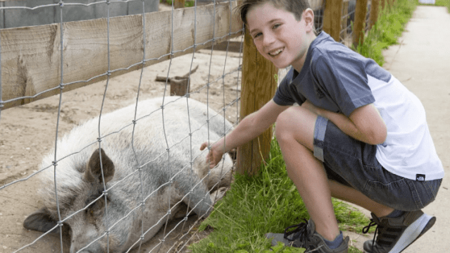 Hopefield Animal Sanctuary - Featured Image - 2