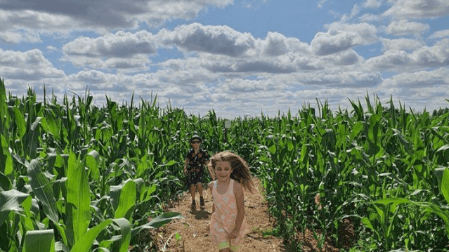 Cammas Hall Farm - Featured Image - 4