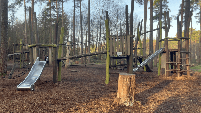 Alice Holt Forest - Featured Image - 2