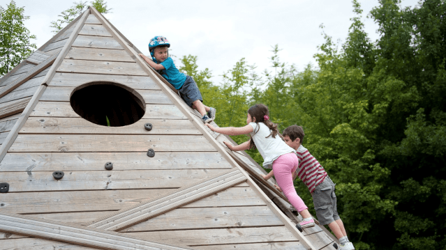 Bedgebury National Pinetum and Forest - Featured Image - 9