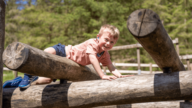 Whinlatter Forest - Featured Image - 3