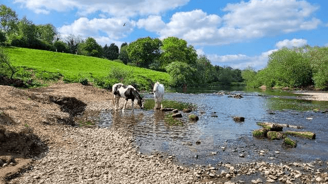 River Severn Canoes - Featured Image - 10