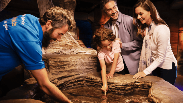 SEA LIFE London Aquarium - Featured Image - 5