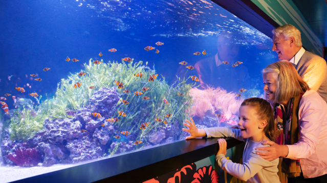 SEA LIFE London Aquarium - Featured Image - 8