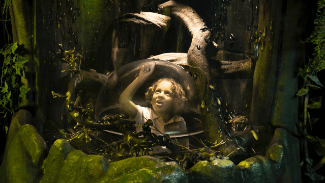 SEA LIFE London Aquarium - Featured Image - 10