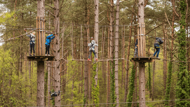 Go Ape Coventry - Featured Image - 8