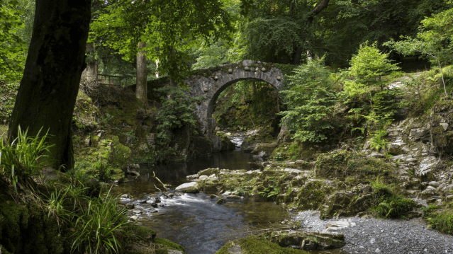 Tollymore Forest Park - Featured Image - 1
