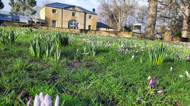 Hillsborough Park - Featured Image - 1