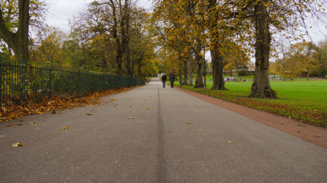 Hillsborough Park - Featured Image - 2