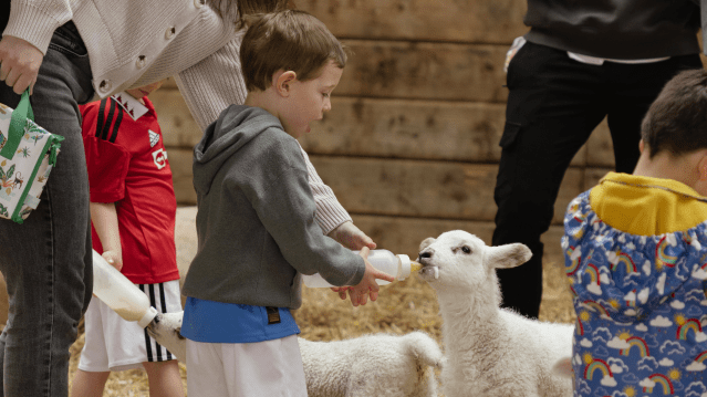 World of Country Life - Featured Image - 3
