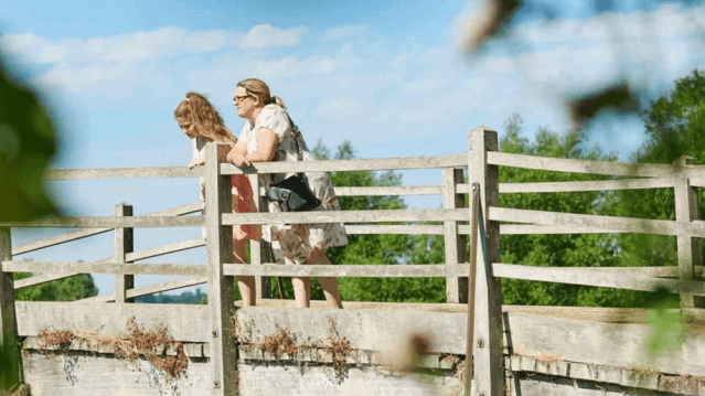 Flatford - National Trust - Featured Image - 3