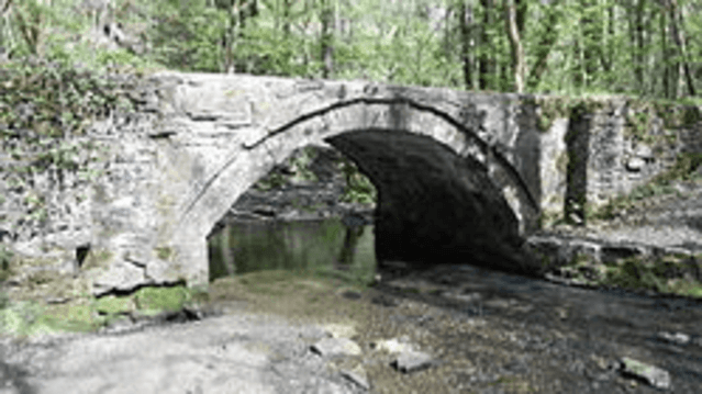 Wepre Park - Featured Image - 3
