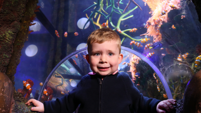 SEA LIFE Manchester - Featured Image - 2