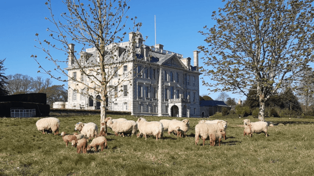 Kingston Lacy - Featured Image - 2