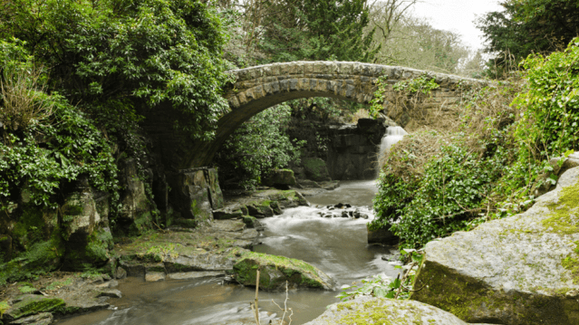 Jesmond Dene Newcastle - Featured Image - 2