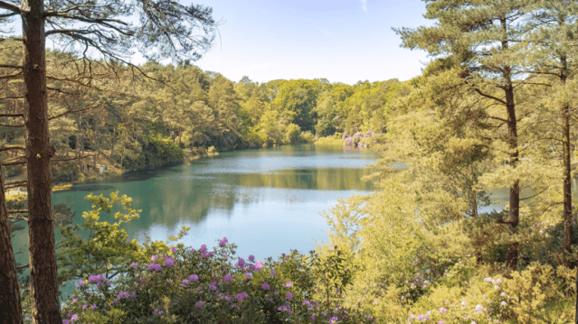 The Blue Pool - Featured Image - 1