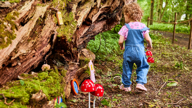 The Secret Forest - Featured Image - 2