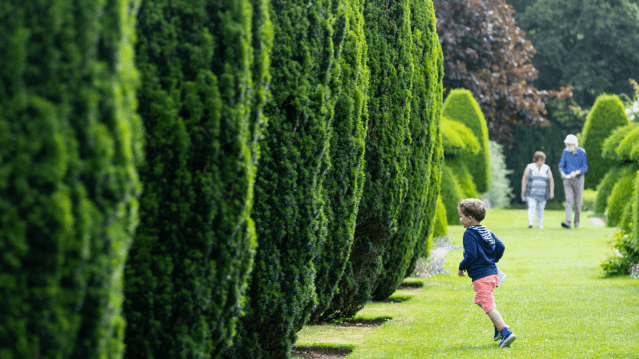 Hinton Ampner - Featured Image - 2