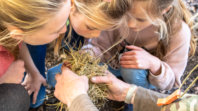 New Forest Activities - Featured Image - 8