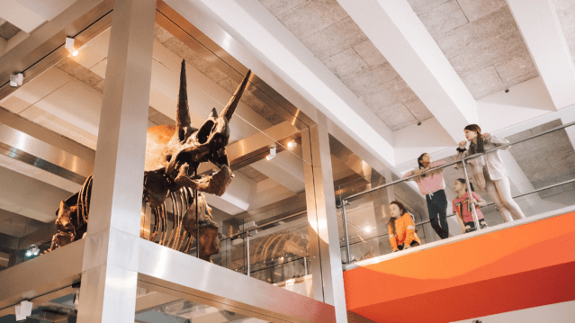 Ulster Museum at Botanic Gardens - Featured Image - 5