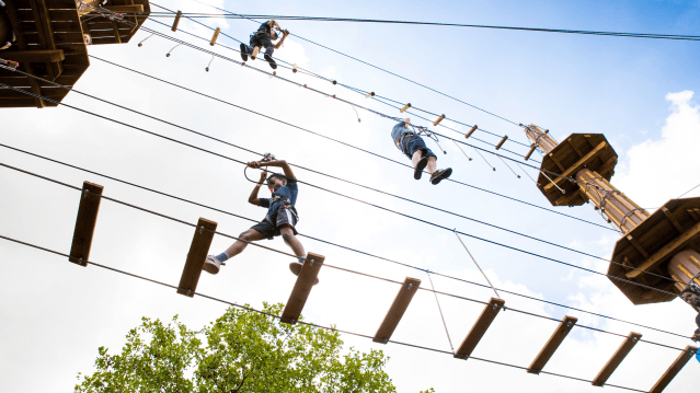 Go Ape Alexandra Palace - Featured Image - 3