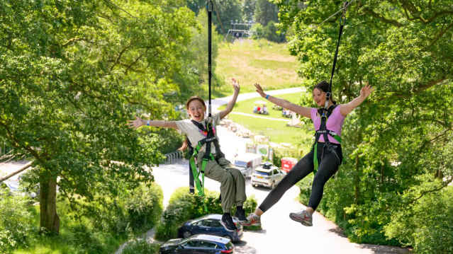 Zip World Windermere - Featured Image - 1