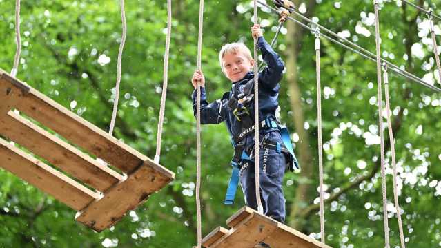 Go Ape Normanby Hall - Featured Image - 3