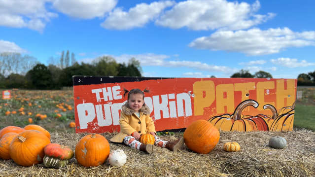 The Pumpkin Patch Basildon - Featured Image - 4