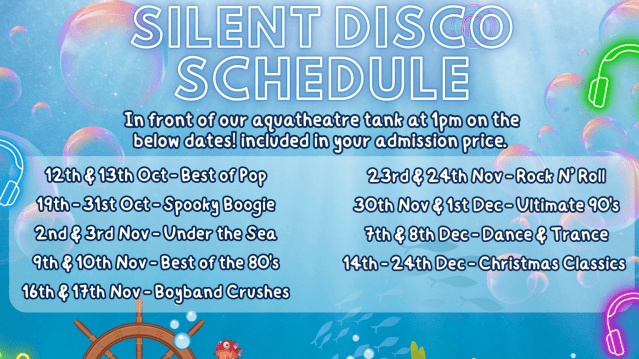 Skegness Aquarium - Featured Image - 7