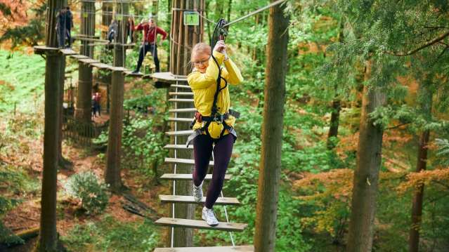 Go Ape Wyre - Featured Image - 5