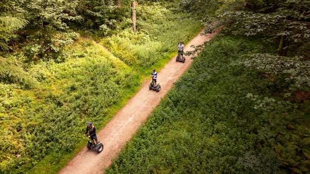 Go Ape Whinlatter - Featured Image - 11