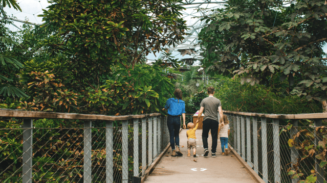 The Eden Project - Featured Image - 6
