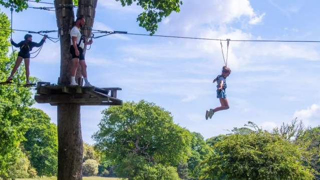Holkham Hall & Woodland Play Area - Featured Image - 5