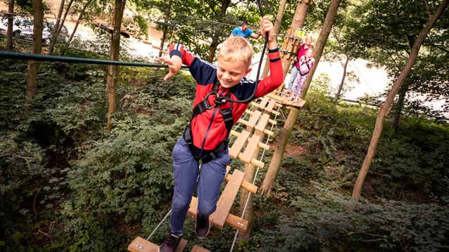 Go Ape Alice Holt - Featured Image - 8